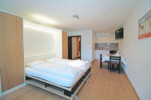 Heller Wohn-/Schlaf-/Essbereich